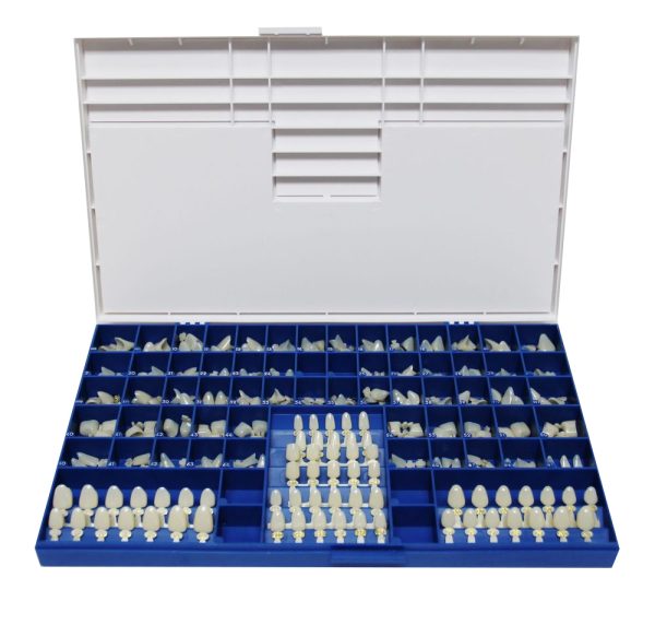 Polycarbonate Crowns - Same as 3M