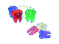 Molar Bur Holder