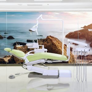 Pioneer RC Series - Complete Dental Chair Package