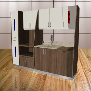 Signature Series Dental Sterilization Unit Complete Custom Lights